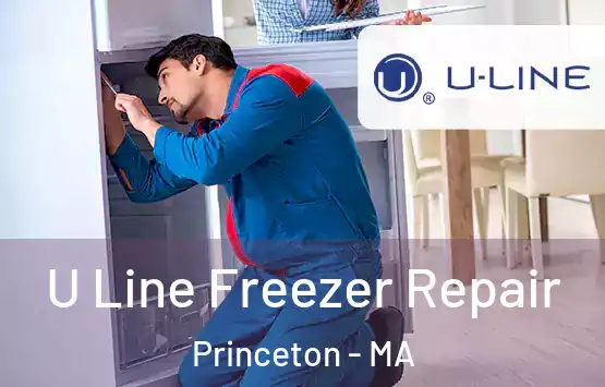  U Line Freezer Repair Princeton - MA