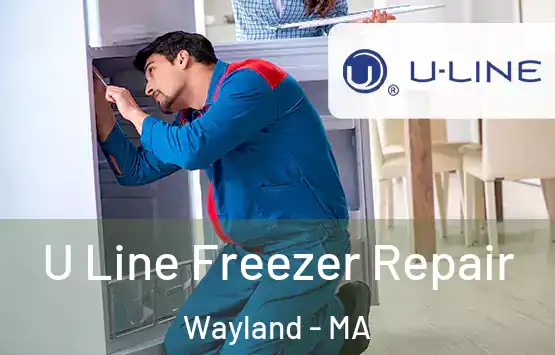  U Line Freezer Repair Wayland - MA