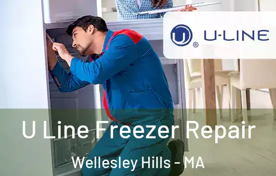  U Line Freezer Repair Wellesley Hills - MA