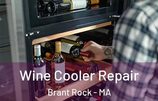  Wine Cooler Repair Brant Rock - MA