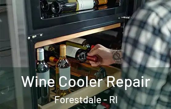  Wine Cooler Repair Forestdale - RI