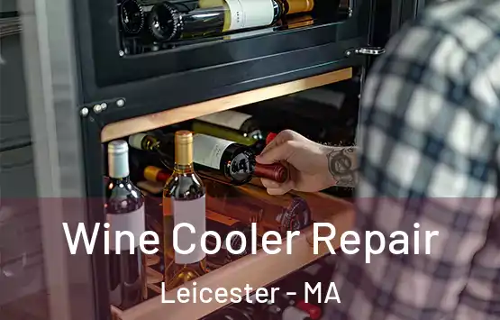  Wine Cooler Repair Leicester - MA