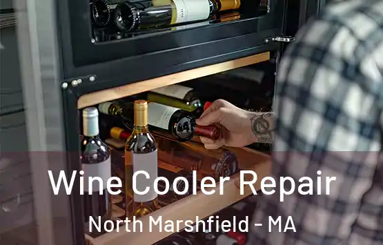  Wine Cooler Repair North Marshfield - MA
