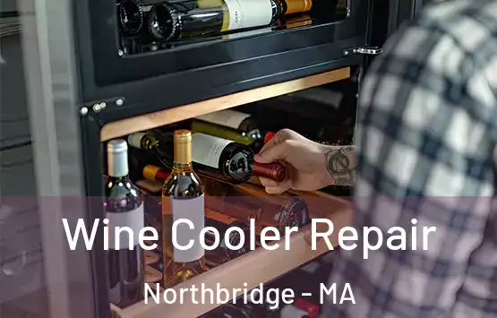  Wine Cooler Repair Northbridge - MA