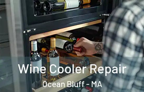  Wine Cooler Repair Ocean Bluff - MA