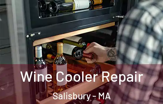  Wine Cooler Repair Salisbury - MA