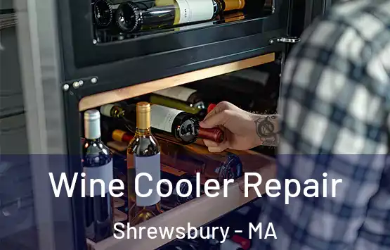  Wine Cooler Repair Shrewsbury - MA