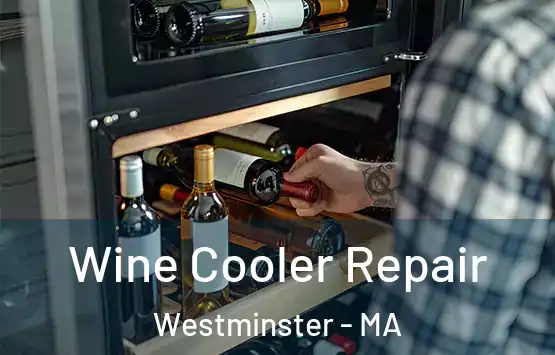  Wine Cooler Repair Westminster - MA